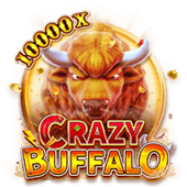 Crazy Buffalo Logo